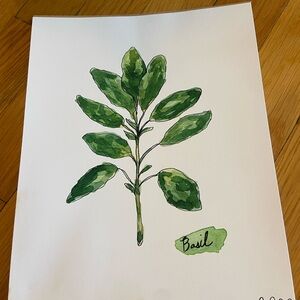 Basil kitchen paper print